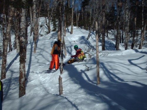 NSCC students doing field work