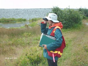 Bird surveys, Smith Point, Nova Scotia